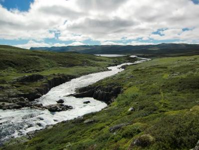 post-12001-0-65995500-1385639056_thumb.j