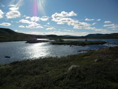 post-12001-0-97390300-1385639059_thumb.j