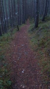 post-12082-0-23629800-1384722379_thumb.j