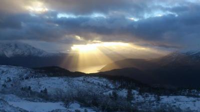 post-12082-0-26908800-1384722290_thumb.j