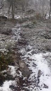 post-12082-0-27331300-1384722162_thumb.j