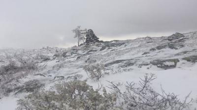 post-12082-0-43923900-1384722196_thumb.j