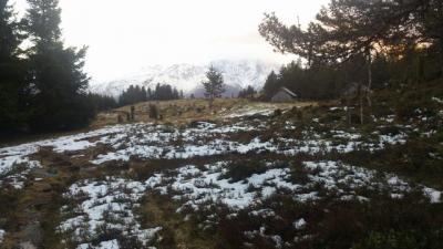 post-12082-0-88697800-1384722304_thumb.j