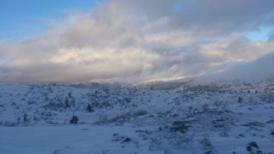 post-12082-0-88761700-1384722260_thumb.j