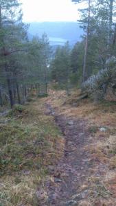 post-12082-0-91084200-1384722333_thumb.j