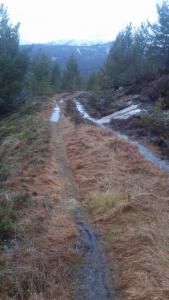 post-12082-0-96514000-1384722348_thumb.j