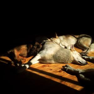 post-12621-0-37843400-1384097579_thumb.j