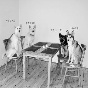 post-12621-0-47665800-1384097351_thumb.j