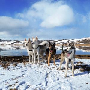 post-12621-0-60609800-1384097572_thumb.j