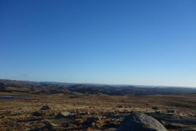 post-13043-0-79152500-1385308520_thumb.j