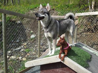 post-13449-0-17297000-1384175111_thumb.j