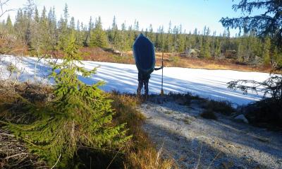 post-2677-0-25657900-1383472378_thumb.jp