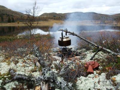 post-4016-0-33428100-1384543338_thumb.jp