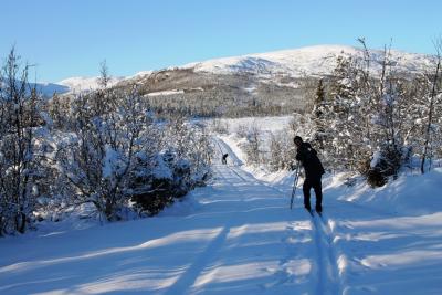 post-4016-0-94450000-1384104575_thumb.jp