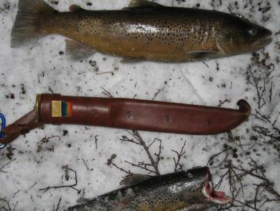 post-5952-0-23385700-1384083044_thumb.jp