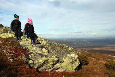 post-7957-0-15475900-1384023551_thumb.jp