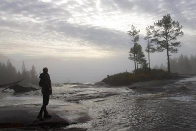 post-7957-0-44064500-1384023636_thumb.jp