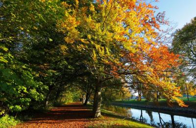 post-7957-0-72168300-1384023616_thumb.jp