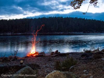 post-7957-0-87925000-1384023633_thumb.jp