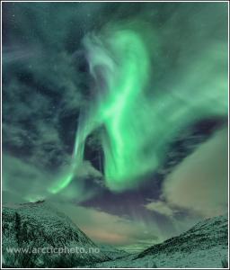 post-8333-0-05142400-1383316591_thumb.jp