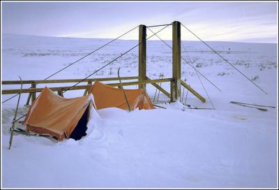 post-8333-0-39318800-1383311754_thumb.jp