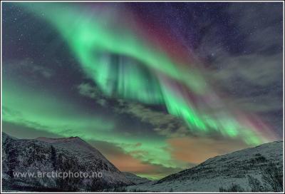 post-8333-0-64076400-1383316560_thumb.jp