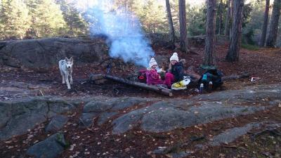 post-8488-0-14683300-1383482740_thumb.jp