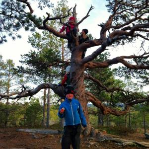 post-9060-0-09607500-1384075918_thumb.jp