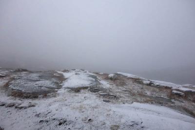 post-10468-0-58900100-1415669758_thumb.j