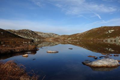 post-10468-0-74308500-1415669414_thumb.j