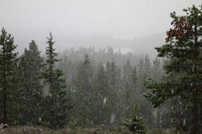 post-10468-0-82091500-1415669841_thumb.j