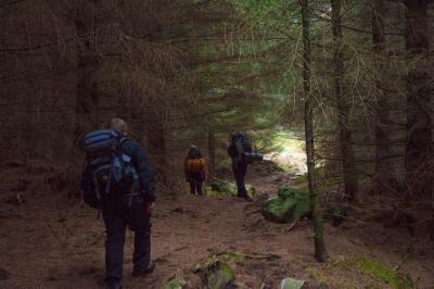 post-12740-0-71576800-1416779100_thumb.j