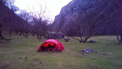 post-12824-0-46004400-1416768877_thumb.j