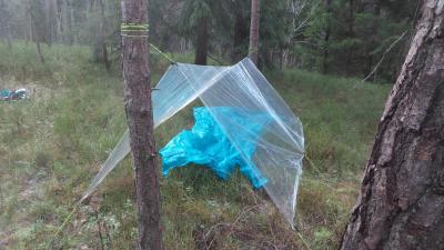 post-14793-0-58255700-1417106087_thumb.j