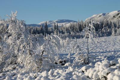 post-4016-0-39580700-1416736051_thumb.jp