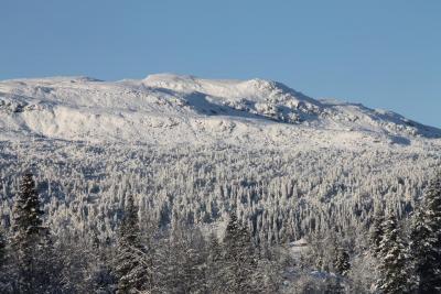 post-4016-0-47464600-1416735882_thumb.jp