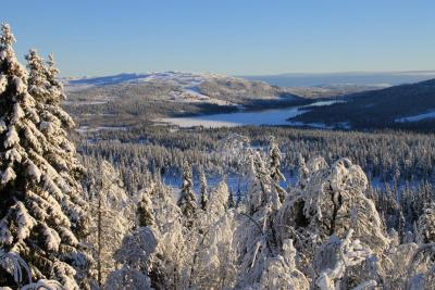 post-4016-0-63547600-1416735994_thumb.jp