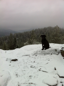 post-4104-0-42029400-1417369763_thumb.pn