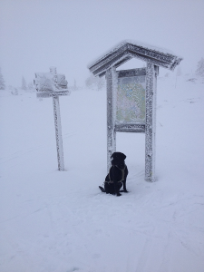 post-4104-0-82522200-1417369774_thumb.pn