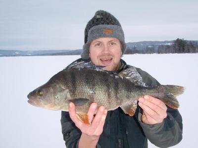 post-6295-0-79722600-1416956943_thumb.jp