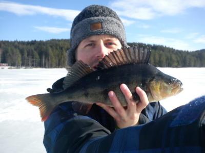 post-6295-0-95934200-1416956949_thumb.jp