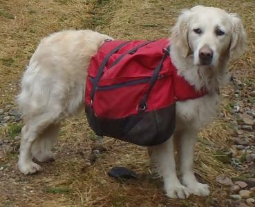 post-6671-0-08387200-1417023361_thumb.jp