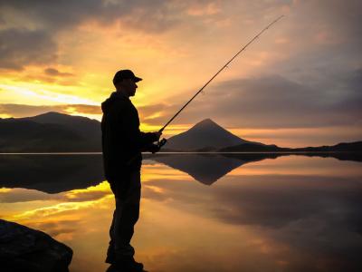 post-7687-0-56396400-1415743255_thumb.jp