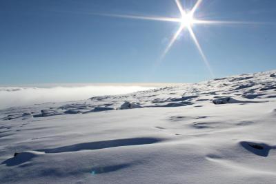 post-8184-0-73881800-1416068793_thumb.jp