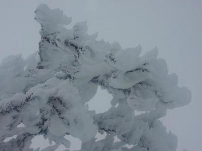 post-8554-0-43397300-1416213901_thumb.jp