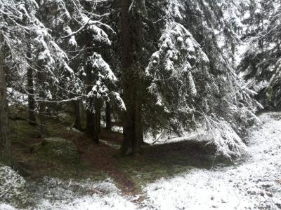 post-9055-0-43052100-1416764657_thumb.jp