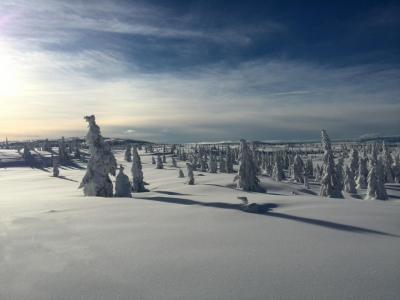 post-9055-0-95351700-1416238098_thumb.jp