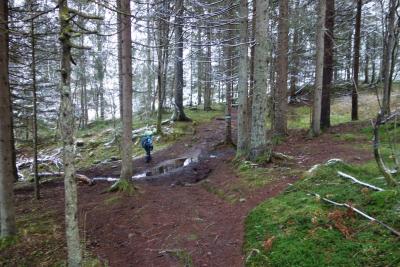 post-9803-0-18401800-1416686620_thumb.jp