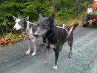 post-11874-0-25823600-1355853332_thumb.j