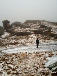 post-11141-0-66753000-1387987708_thumb.j